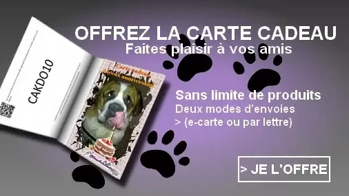 Carte cadeau