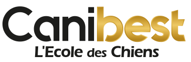 CANIBEST, éducateur canin comportementaliste et dressage de chien