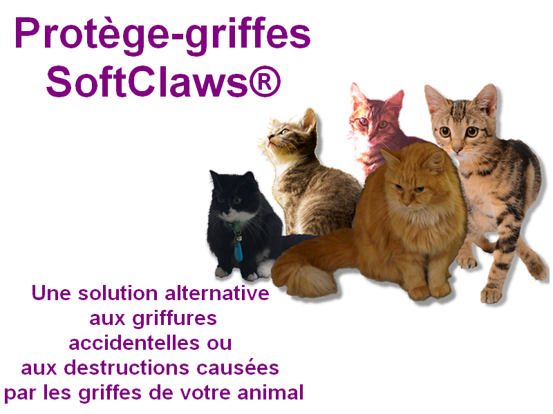Protege griffes softclaws chat