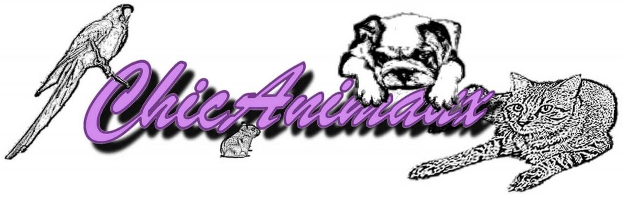 ChicAnimaux