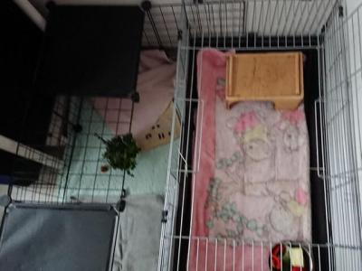 Cage cavee