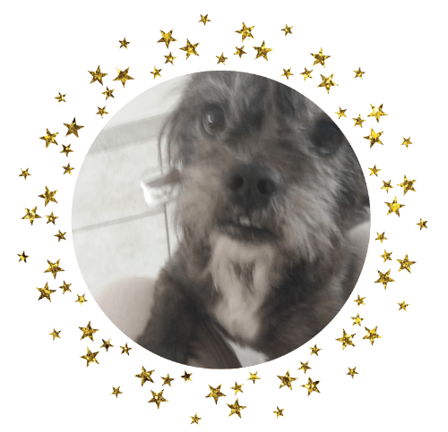 Chien 800