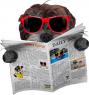 Chien magasine 1