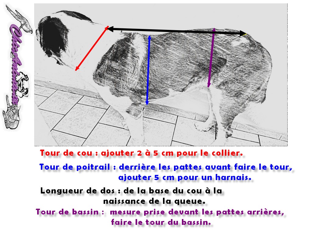 Mesure