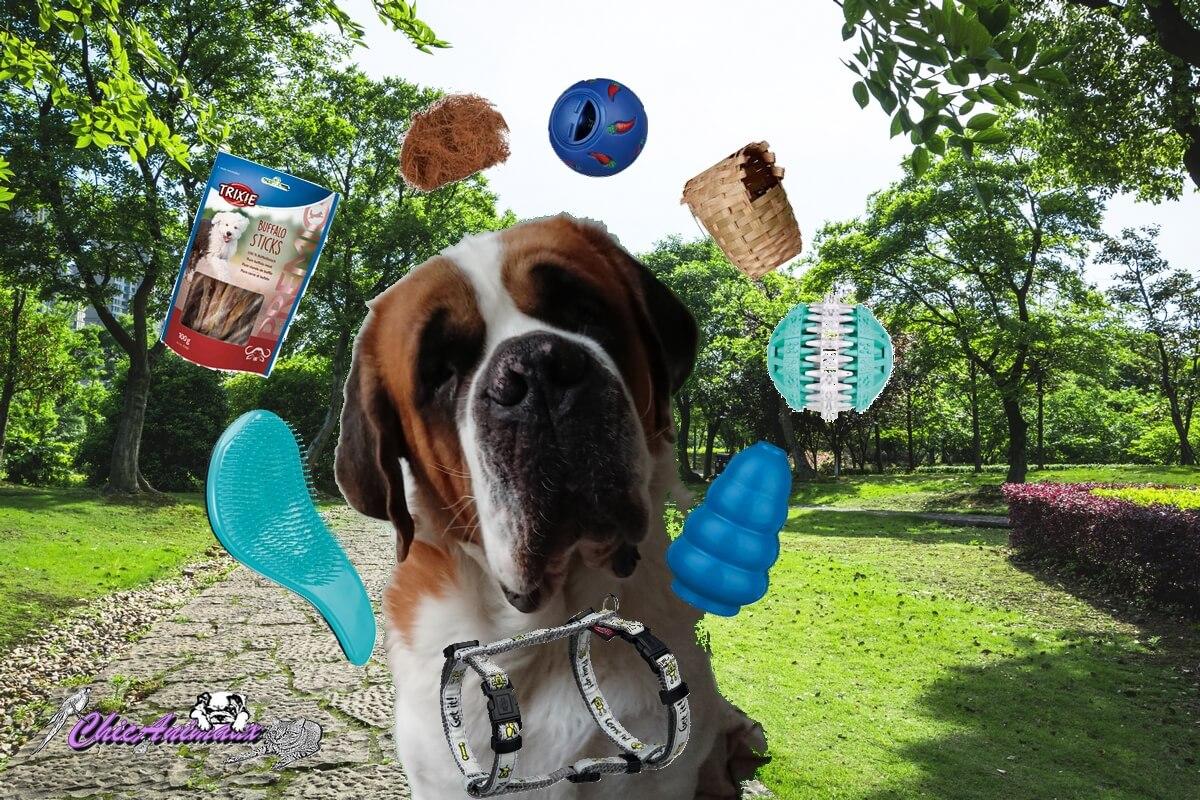 sensibilisation au jouet Vignette jouet 1